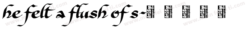 he felt a flush of s字体转换